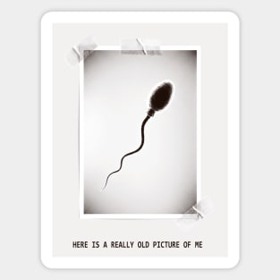 Here Is A Really Old Picture of Me Magnet